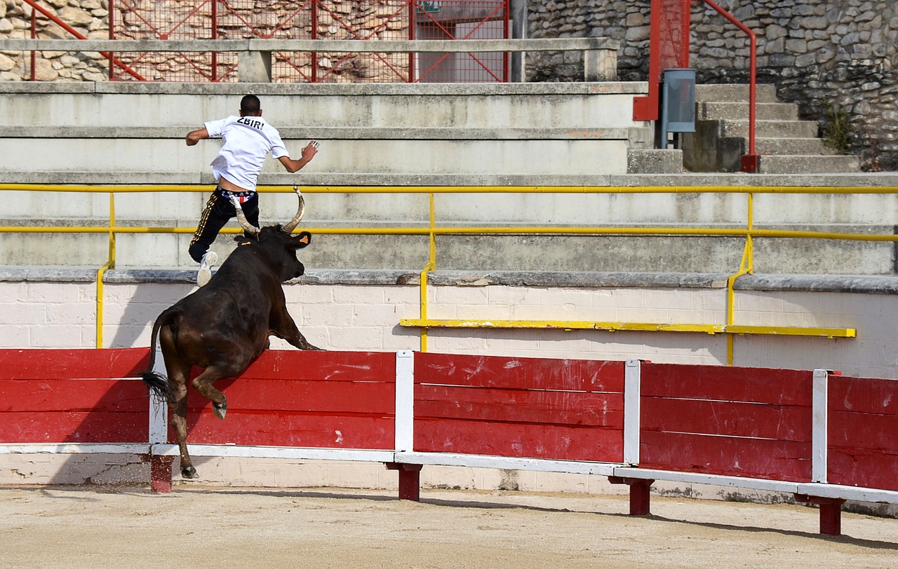 Marcu