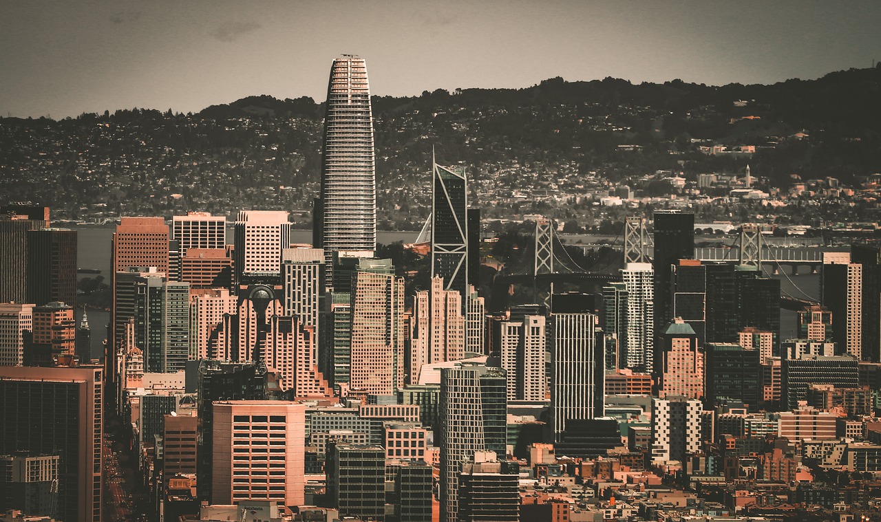 田中碧再次 田中碧再次