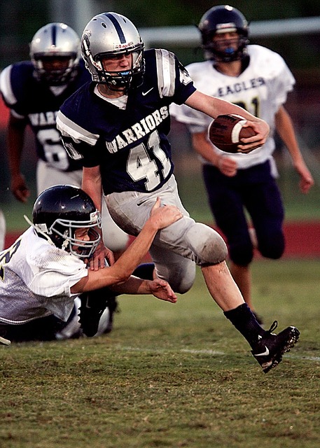 怀特的一系 怀特的一系