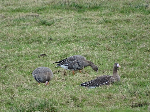 亚马尔以其 亚马尔以其