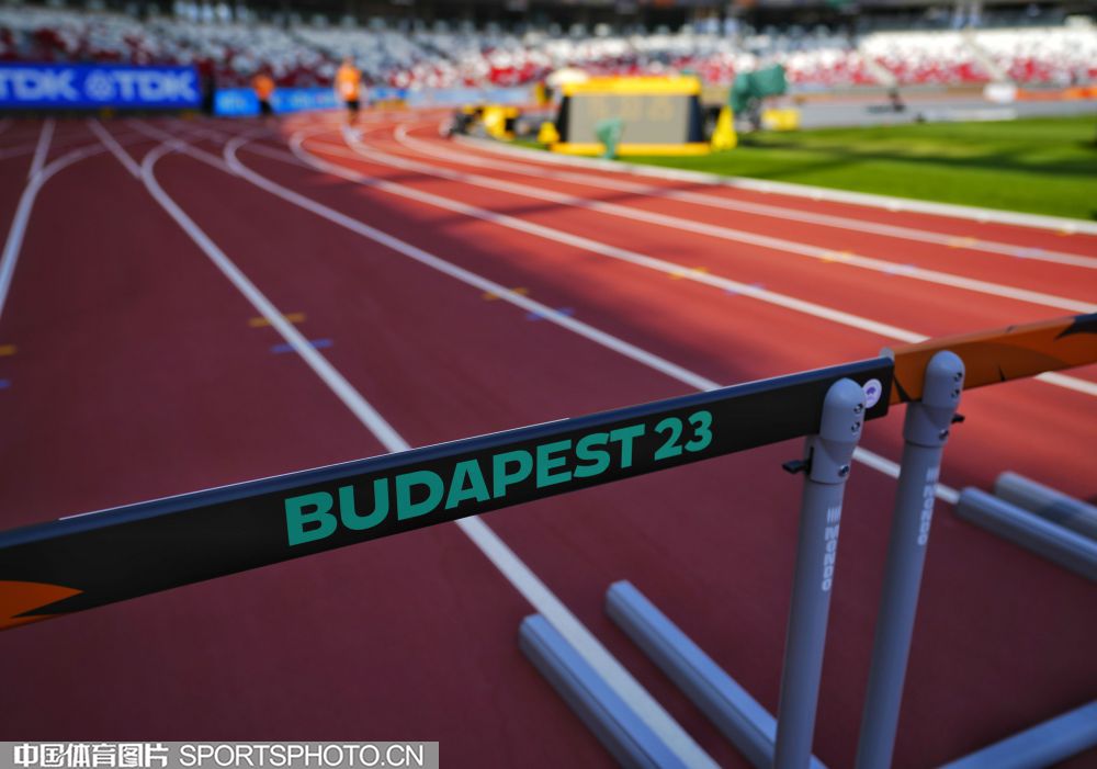 这种自信不 这种自信不