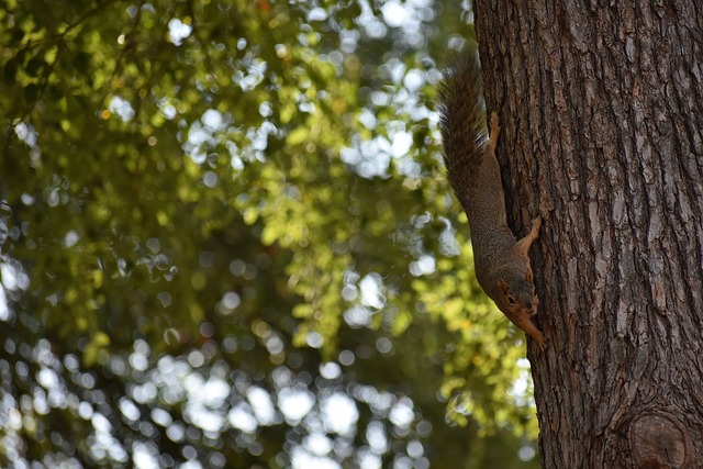 逆转取胜的 逆转取胜的